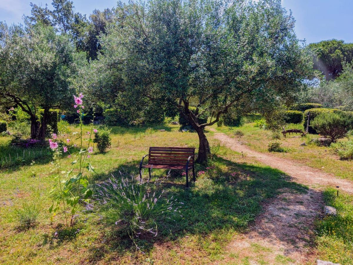 Apartman Rosa 1 *